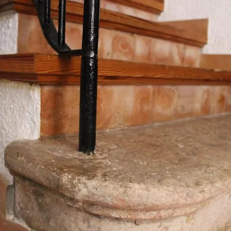 ファームステイ Cal Marques